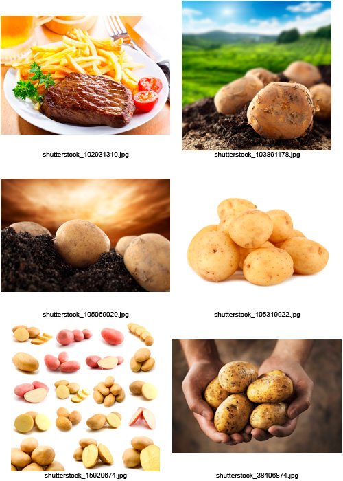 Amazing SS - Potatoes, 25xJPGs