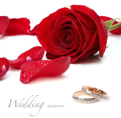 Wedding Rings - Shutterstock 50xjpg