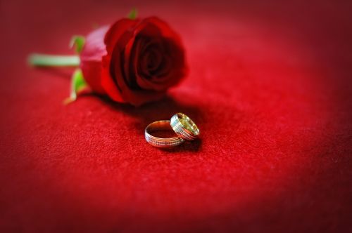 Wedding Rings - Shutterstock 50xjpg