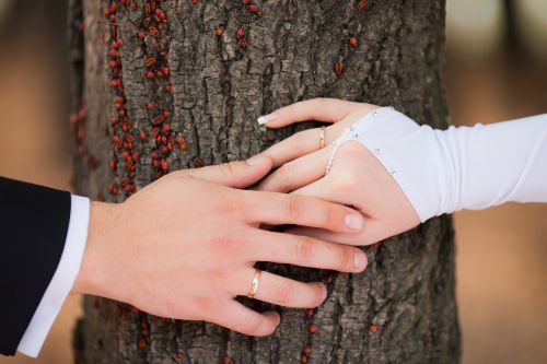 Wedding Rings - Shutterstock 50xjpg