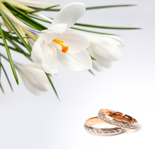 Wedding Rings - Shutterstock 50xjpg