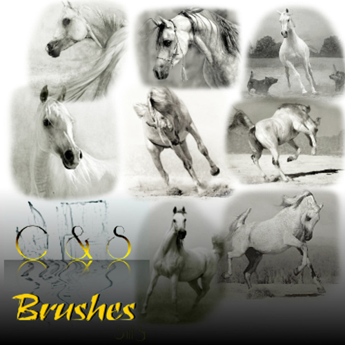 Running Horse Brushes Set for GIMP