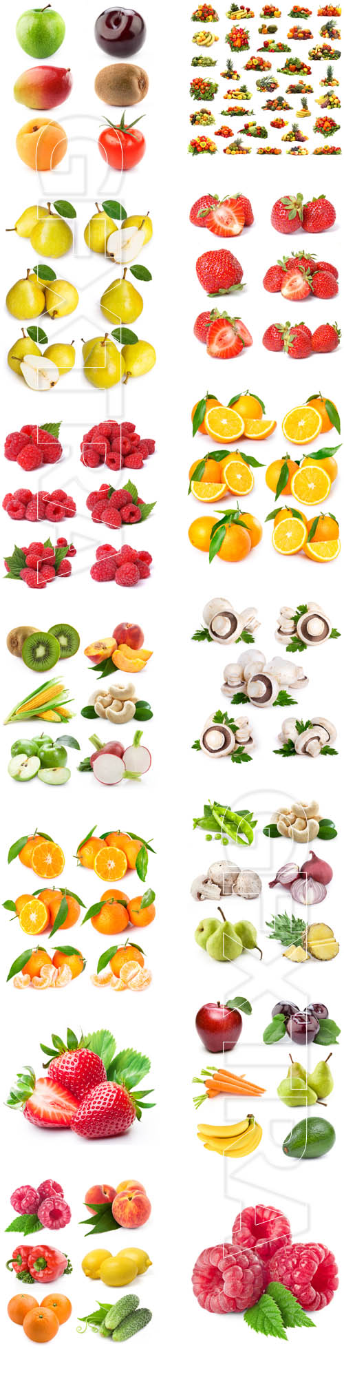 Fruits and Vegetables2: Big collection of fruits, vegetables, berries, citrus, nuts and mushrooms 44xJPEGs