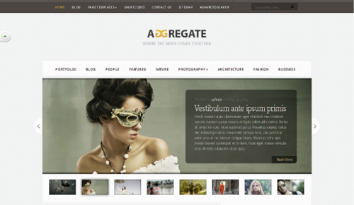 ElegantThemes - Aggregate theme version 2.3 Incl PSD (Updated)