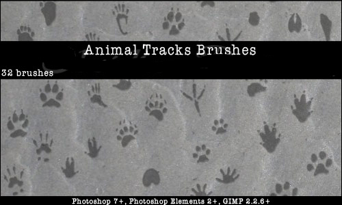 Animal Tracks Photoshop Brushes