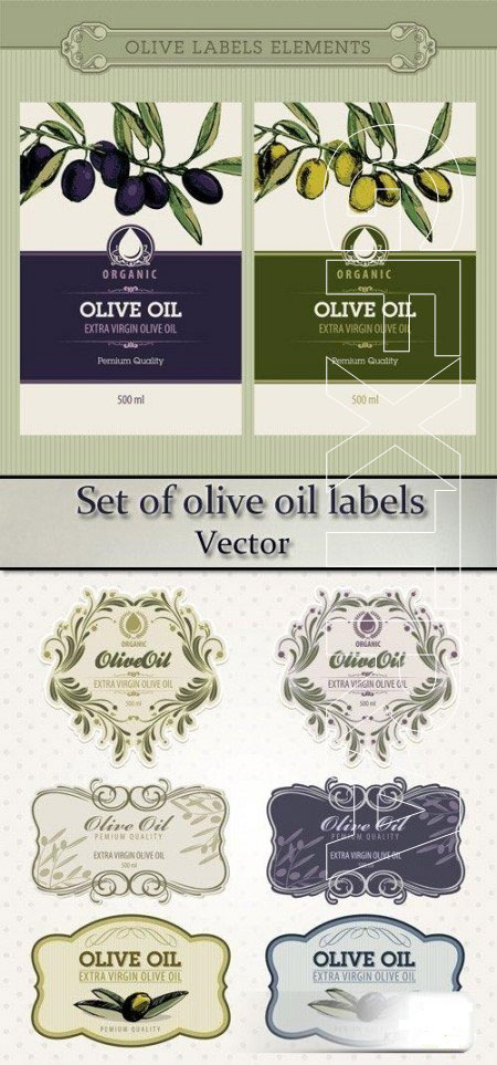 COPYRIGHT! Set of olive oil labels