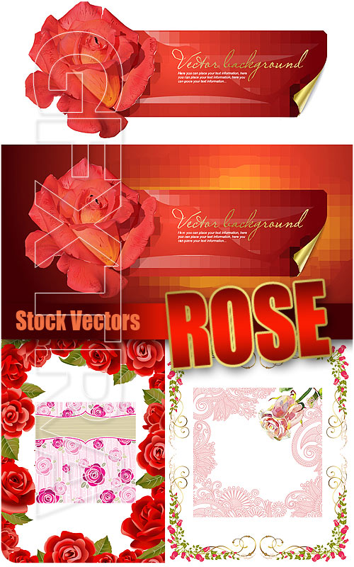 Rose - Stock Vectors