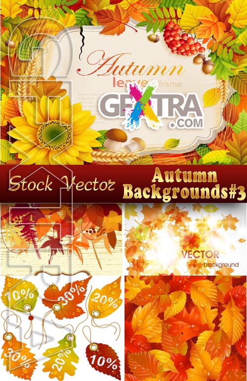 Autumn backgrounds #3 - Stock Vector