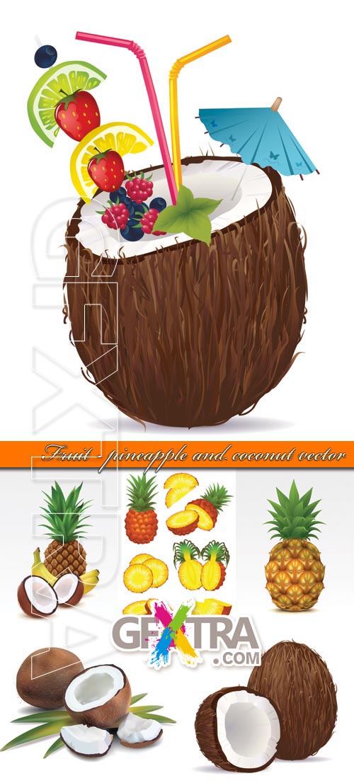 Fruit - Pineapple and Coconut Vector, 6xEPS