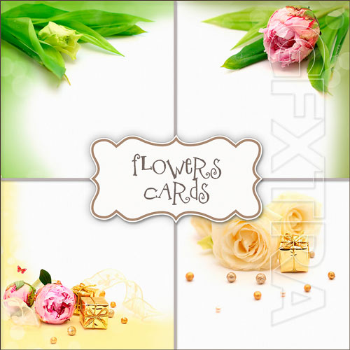 Scrap Kit - Flowers Cards