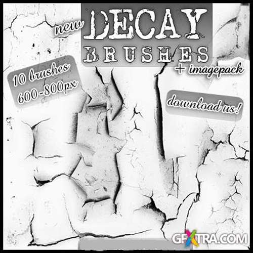 Decay Brushes Set