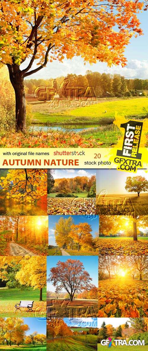 SS Autumn Landscape - 20 UHQ photos