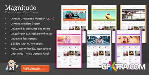 ThemeForest - Magnitudo v1.1.1 - Powerful Wordpress Business Theme