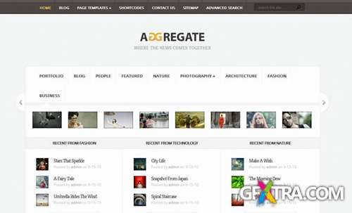 ElegantThemes - Aggregate v2.4 - WordPress Theme