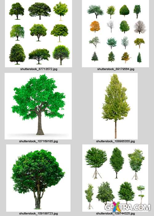 Amazing SS - Trees Collection, 25xJPGs