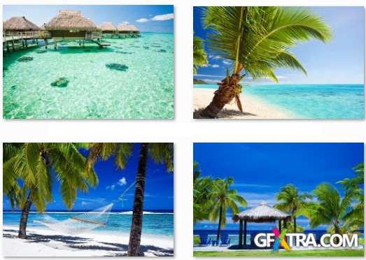 Tropical Paradise - 25 HQ JPEG Stock Photo