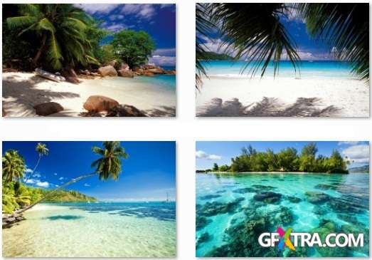 Tropical Paradise - 25 HQ JPEG Stock Photo