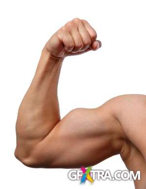 Body Builders, Man 40xJPGs Shutterstock