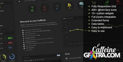 ThemeForest - Caffeine Responsive Admin Template - RIP