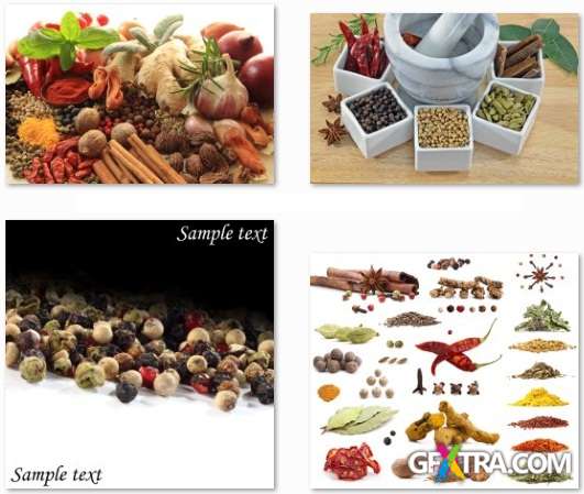 Spice Collection - HQ Stock Photo