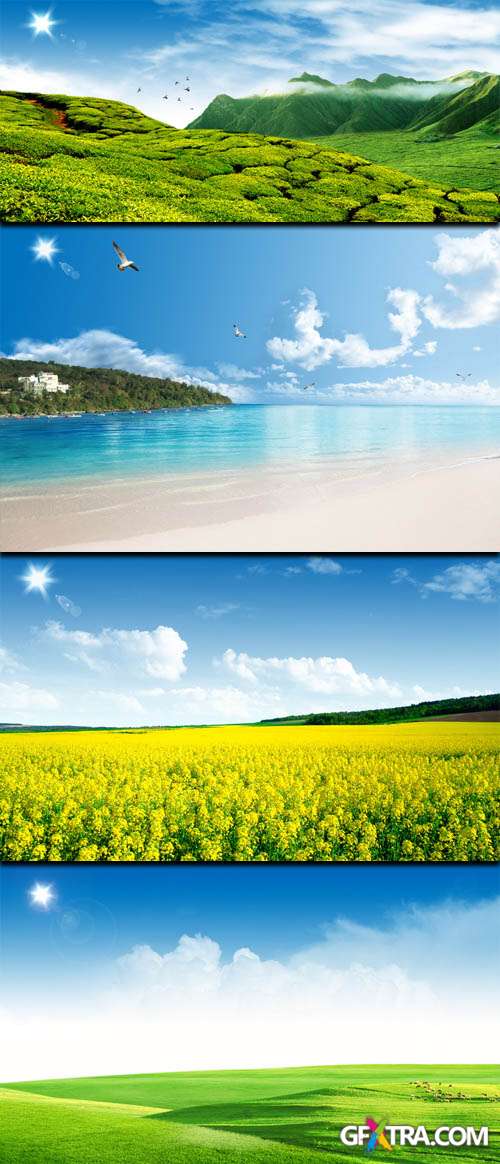 Flowering fields and summer beach in PSD