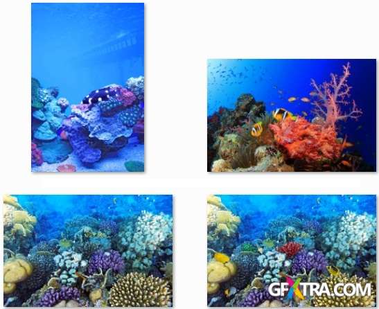 Underwater World - 25 HQ JPEG Stock Photo