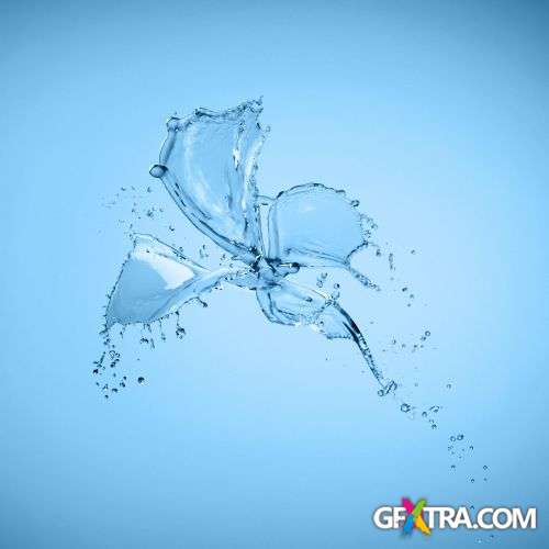 Splash Collection - Shutterstock 50xjpg