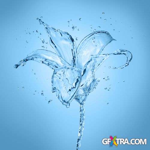 Splash Collection - Shutterstock 50xjpg