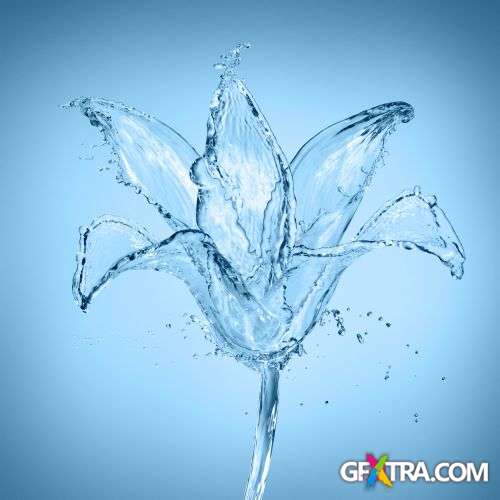 Splash Collection - Shutterstock 50xjpg