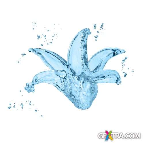 Splash Collection - Shutterstock 50xjpg