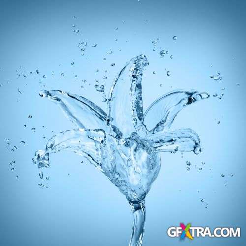 Splash Collection - Shutterstock 50xjpg