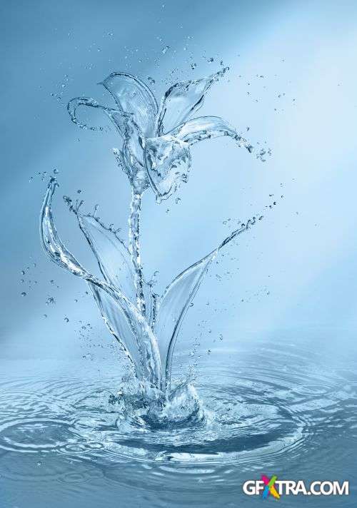 Splash Collection - Shutterstock 50xjpg