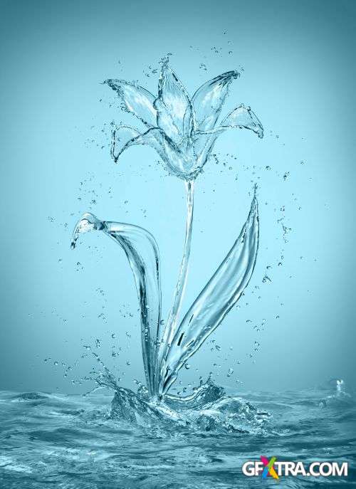 Splash Collection - Shutterstock 50xjpg