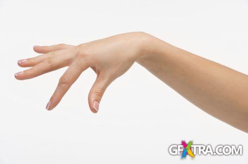 Blank Hands - Shutterstock 32xjpg