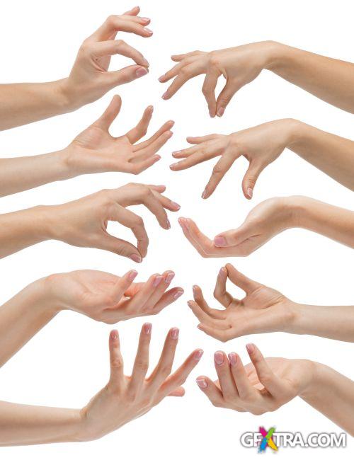 Blank Hands - Shutterstock 32xjpg