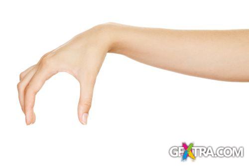 Blank Hands - Shutterstock 32xjpg