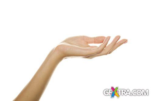 Blank Hands - Shutterstock 32xjpg