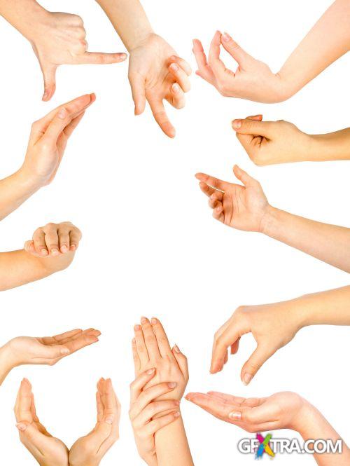 Blank Hands - Shutterstock 32xjpg