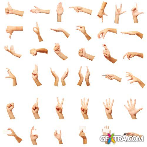 Blank Hands - Shutterstock 32xjpg