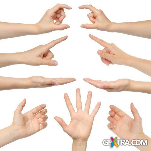 Blank Hands - Shutterstock 32xjpg