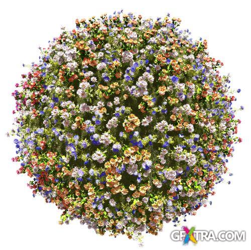 Mini Planet Collecion - Shutterstock 36xJPG