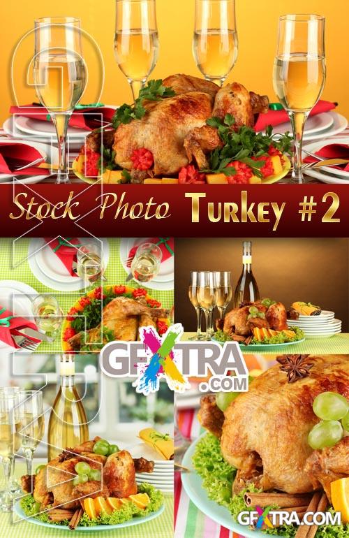 Christmas turkey #2 - Stock Photo