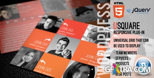 CodeCanyon - uSquare v1.6 - Universal responsive grid for Wordpress