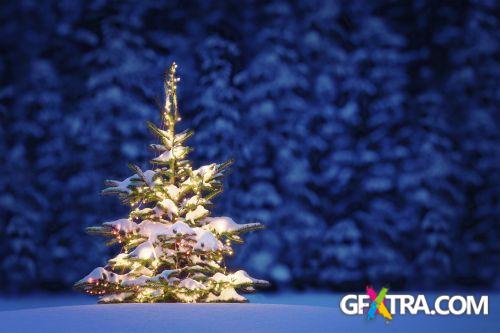 iStockPhoto: Cristmas Backgrounds - 25xJPG