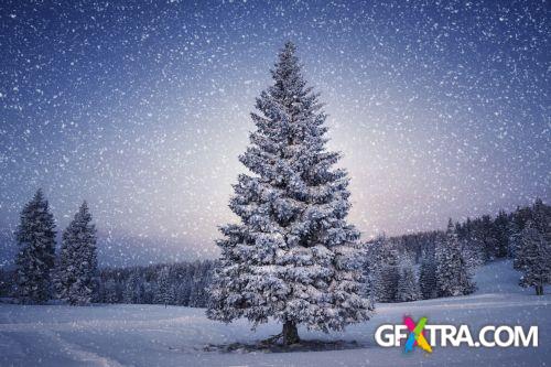 iStockPhoto: Cristmas Backgrounds - 25xJPG