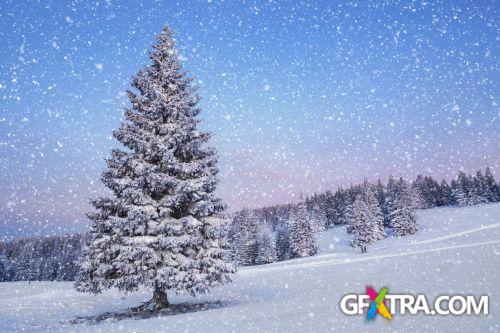 iStockPhoto: Cristmas Backgrounds - 25xJPG