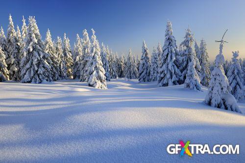 iStockPhoto: Cristmas Backgrounds - 25xJPG