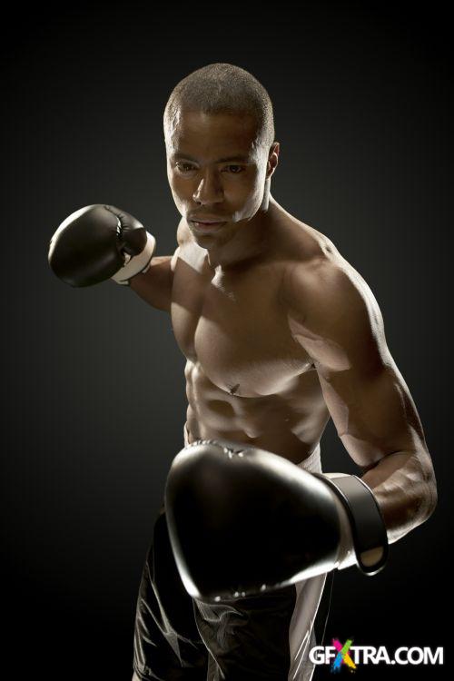 iStockPhoto: Amazing Boxer - 14xJPG