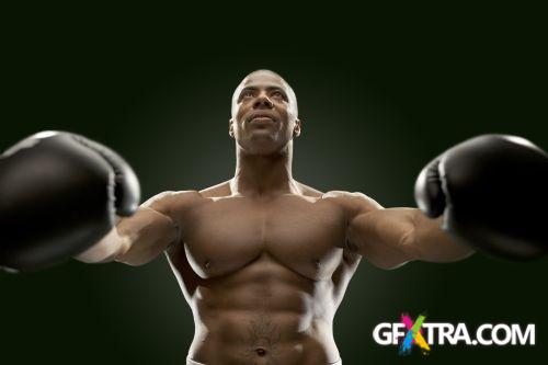 iStockPhoto: Amazing Boxer - 14xJPG