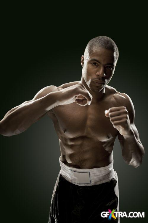 iStockPhoto: Amazing Boxer - 14xJPG